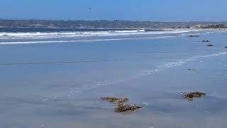 Pacific Ocean Coronado Beach San Diego California 🇺🇸 [upl. by Ameyn616]