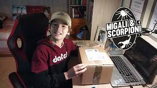 Video bonus 100 Iscritti Unboxing e Sexing spiders Sorpresa per voi alla fine [upl. by Nnairrek]