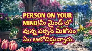 💯❤️PERSON ON YOUR MINDమీ మైండ్ లో వున్న పర్సన్ మీకోసం ఏం ఆలోచిస్తున్నారు [upl. by Callida]