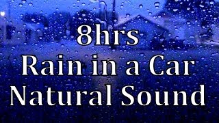 8hrs Rain in a Car quotNatural Soundquot [upl. by Eenaej]