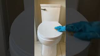 ASMR BATHROOM RESET P2 asmr cleantok asmrsounds cleaning cleaning reset [upl. by Enrev804]