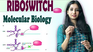 Riboswitch I Regulation of Transcription and Translation II Molecular Biology [upl. by Jeannette]