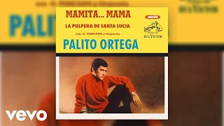 Palito Ortega  La Pulpera de Santa Lucía Official Audio [upl. by Atnuahs]