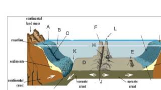 Ocean Floor Topography [upl. by Soneson]