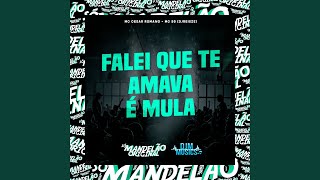 Falei Que Te Amava É Mula [upl. by Linoel]