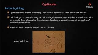 Cystinuria  Usmle step 1 Biochemstry webinar based lecture [upl. by Dannie]