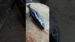 Big tuna fish cutting slice master shorts video [upl. by Ronda]