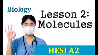 HESI Biology Review  Lesson 2 Molecules [upl. by Ynej]