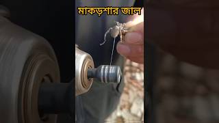 মাকড়শার জাল insects spider shorts [upl. by Leahpar]