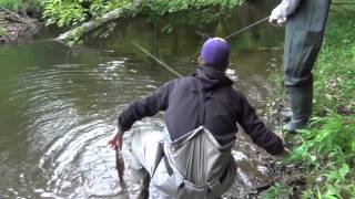 Trout Fishing PA 2012 4 Asaph Run [upl. by Paquito480]