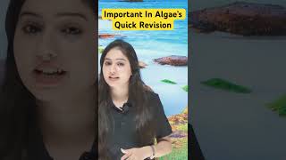 Algae Quick Revision neetbiology neet jhamam biogrades ncertbiology [upl. by Grannias]