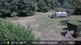 Pictures amp Videos GardePro A3 Trail Camera 8 of 10 FR21 Part 1 Côtes dArmor Brittany France [upl. by Eidissac455]