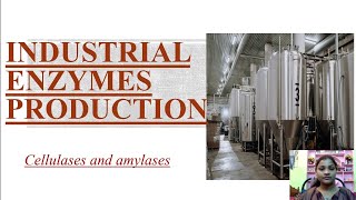 Industrial production of enzymes Cellulases and amylases [upl. by Karlow]