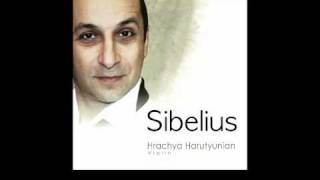 Sibelius Violin Concerto 1st movement Hrachya Harutyunian [upl. by Pandora]