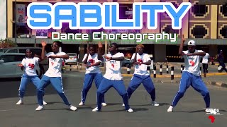 Ayra Starr  SABILITY Official Dance Video  Dance Republic Africa [upl. by Yeffej557]