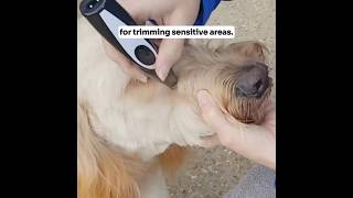 Scared to give your pet a minitrim at home You need the Furbolini Mini Trimmer by Amanireigncom [upl. by Gibbs]