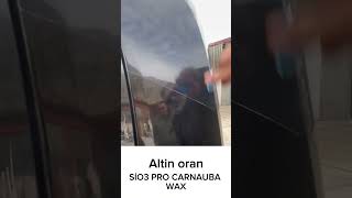 Altin oran SiO3 PRO CARNAUBA WAX automobile carcare cardetailling detailing [upl. by Rostand]