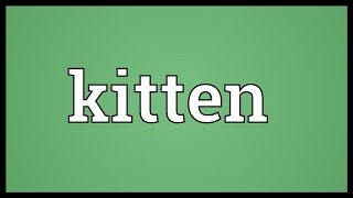 Kitten Meaning [upl. by Okemak]