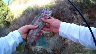 How to Fish for Spawning Rainbow Trout [upl. by Grider]