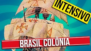 O BRASIL COLÔNIA [upl. by Theodoric]