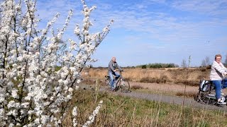 Weerbericht donderdagmiddag Warme vrijdag [upl. by Ylrevaw]