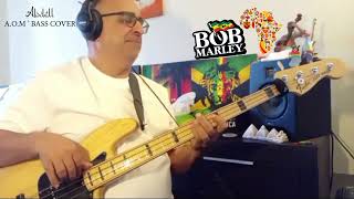 Africa Unite  Bob Marley amp the Wailers  Cover Bass [upl. by Kciv]