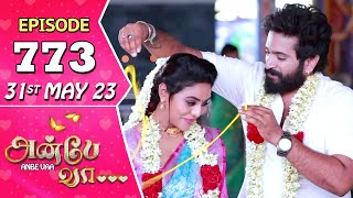 Anbe Vaa Serial  Episode 773  31st May 2023  Virat  Delna Davis  Saregama TV Shows Tamil [upl. by Ross]