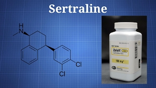 Sertraline Zoloft What You Need To Know [upl. by Rizika]