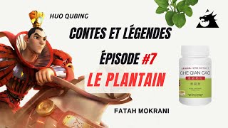 Épisode 7  La découverte du plantain en Médecine Chinoise [upl. by Kciwdahc]