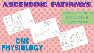 Ascending Pathways  1  CNS  Physiology [upl. by Bean]