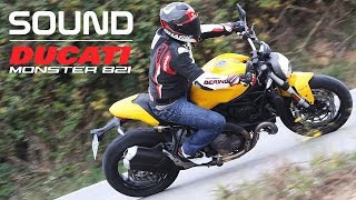 Ducati Monster 821 2018 Pure Sound [upl. by Nanci]