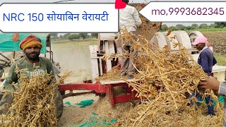 सोयाबीन की NRC 150 किस्म  soybean ki nrc 150 variety mo9993682345 soyabean farming [upl. by Meier]