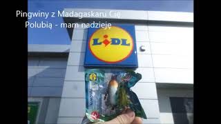 Lidl Dzikie Zwierzęta Wiktoria pragnie Flaming Pingwin  Kocham Cię Kochanie Moje [upl. by Erek603]