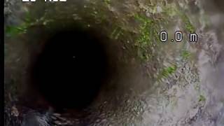 Sewer Push Camera Discovered a Lobster in a Pipe [upl. by Eetsim]