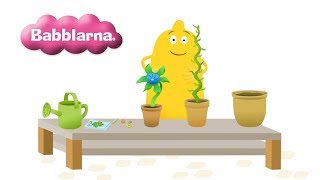 Plantera  Babblarna Bibbi [upl. by Ritz]