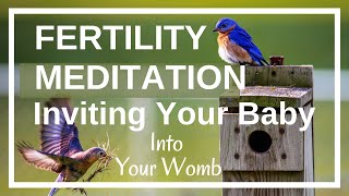 Fertility Meditation Inviting your baby into your womb Guided Imagery for getting pregnant [upl. by Brenk75]