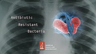 Antibiotic Resistant Bacteria [upl. by Wakerly339]