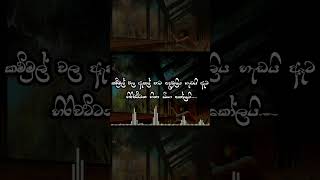 Mage Eki 😊😊😊😊😊 Hitha Yannema Nangilata   හිත යන්නෙම නංගිලාට  Lyrics Video shorts trending [upl. by Erelia]