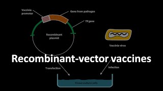 Recombinant vector vaccines [upl. by Wenda473]