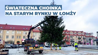 Magia Świąt w Łomży Ośmiometrowy Świerk Srebrzysty [upl. by Ettenan3]