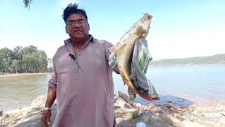 Big Fish  Shahpur Dam Current Update 19324  Bohat Bare Machli Ka Shekar  NQ 51  Apawa [upl. by Adora]