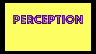 Perception  Definition  Factors  Process  Organisational Behaviour [upl. by Jahdol]