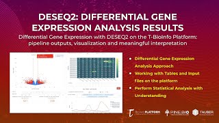 Differential Gene Expression Bulk RNA Seq Analysis Results DESEQ2 Output Review [upl. by Ardnosal]