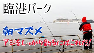 【臨港パーク】朝マズメの狙い撃ち大成功！短時間でしっかり釣れる！トリックサビキ釣り [upl. by Garnette411]