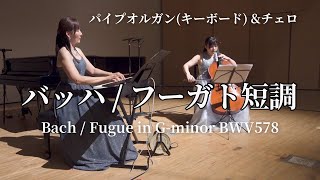 バッハ  フーガト短調 BWV578 小フーガト短調 [upl. by Nnyleuqcaj]