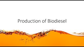 Chem Help  Production of Biodiesel [upl. by Ainoet]