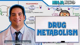 Pharmacokinetics  Drug Metabolism [upl. by Chalmer]