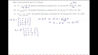 Matrizes Ex12 [upl. by Noved386]