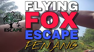 ADVENTURE VLOG  FLYING FOX AT ESCAPE THEME PARK PENANG  2017 [upl. by Nahtanhoj635]