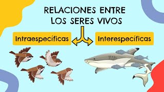 Relaciones entre seres vivos 🌸🐝 [upl. by Oiziruam]